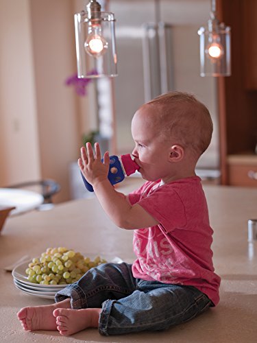 Lifefactory Flašicu Kape za 4 Grama, i 9-Unci BPA-Besplatno Čašu Bebu Boce, Okean i Kale (Pakovanje od 2)
